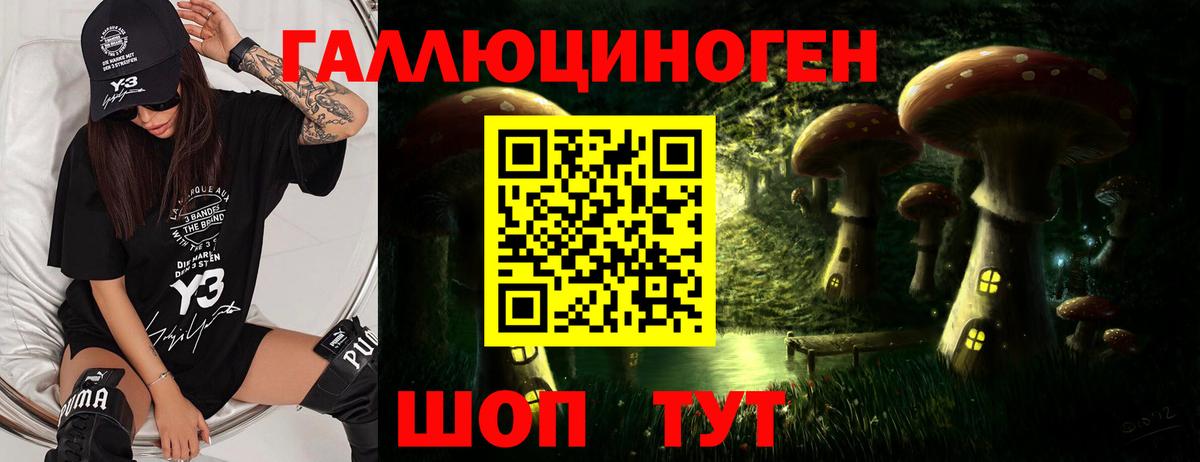 Псилоцибиновые грибы Psilocybe Ревда