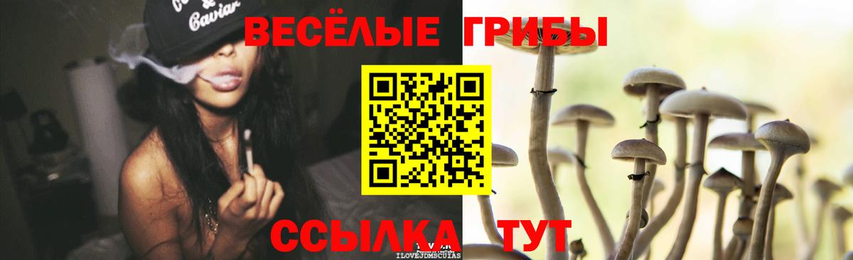 Псилоцибиновые грибы прущие грибы  Вход с VPN  Ревда 